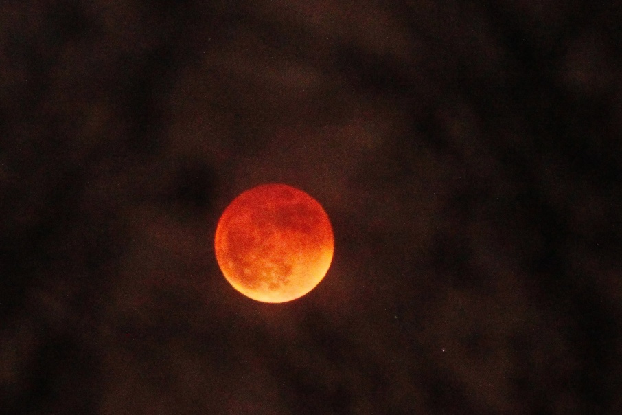 Кровавая луна взошла над Россией: публикуем фото суперлуния со всей страны