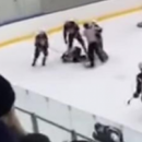 В Набережных Челнах во время матча хоккеисты побили рефери