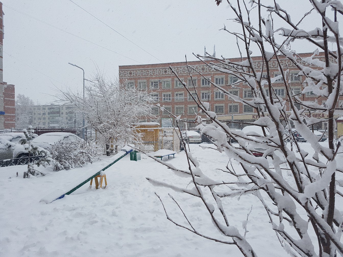 Утро после снегопада: как Курган пережил запоздалую зиму в марте