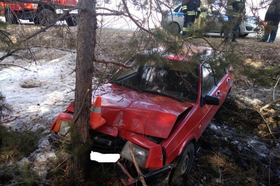 В Зауралье водитель врезался в дерево